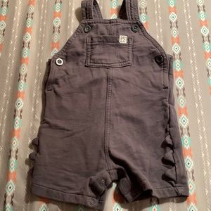 Dino Mite Overall Shorts